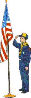 flag solute