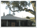 lgumc