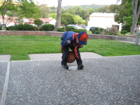 pack371 meeting